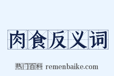 肉食反义词是什么意思的图片
